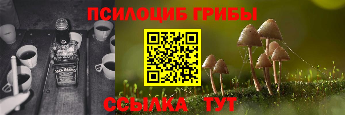 Галлюциногенные грибы Psilocybe  Вход с VPN  Зеленокумск  Псилоцибиновые грибы прущие грибы 